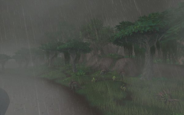 Nimer - rain