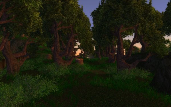 Gar'thal - forest