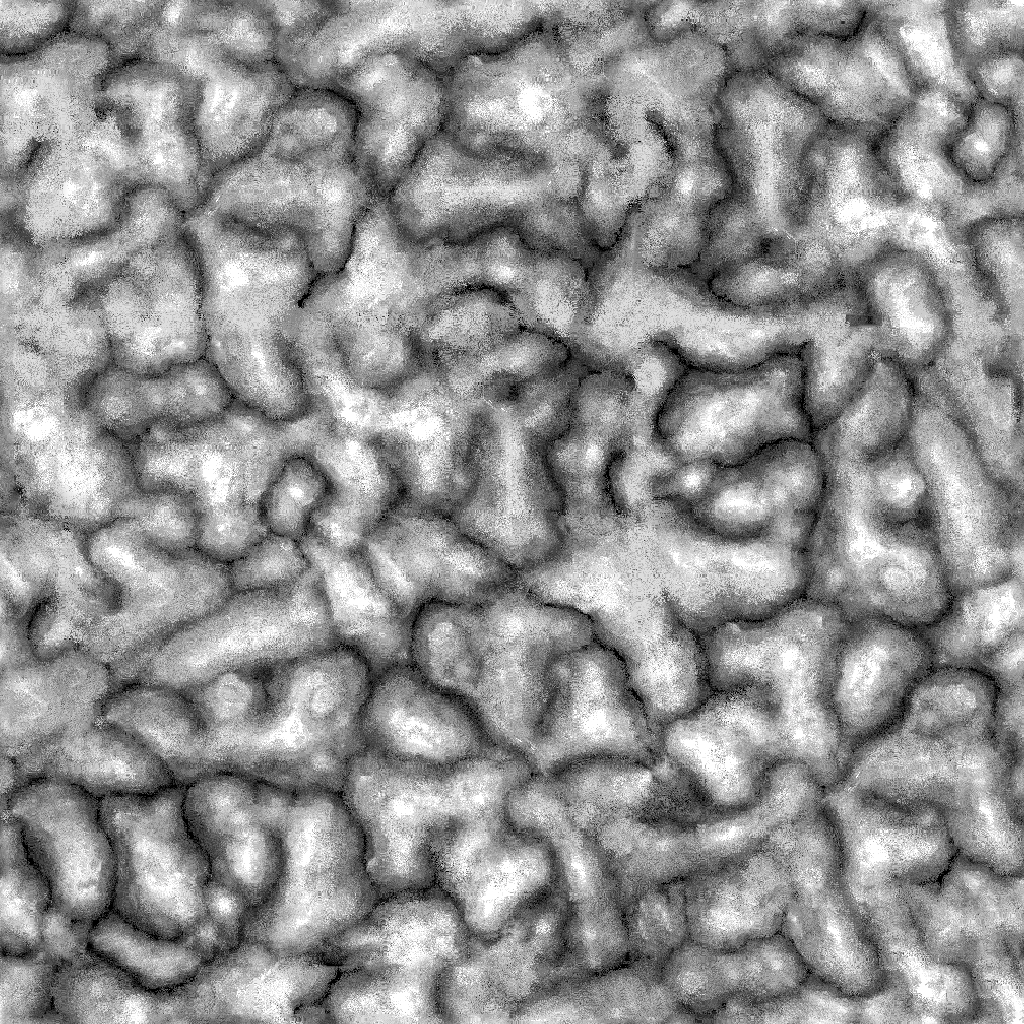 [Image: Eversong_Woods.png.41981954849b626d673c1b3fd26875a5.png]