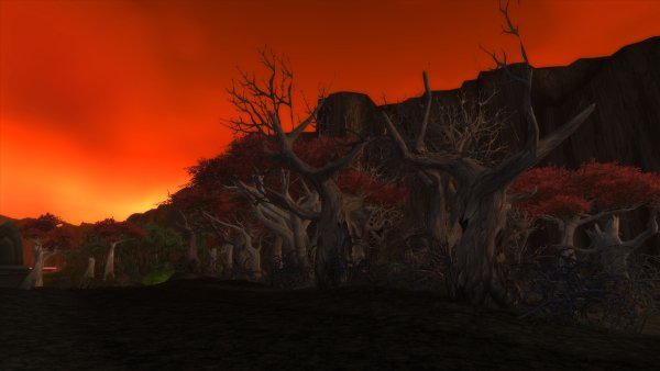 Dark side forests - test
