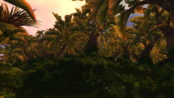 Jungle