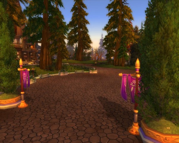 19.jpg