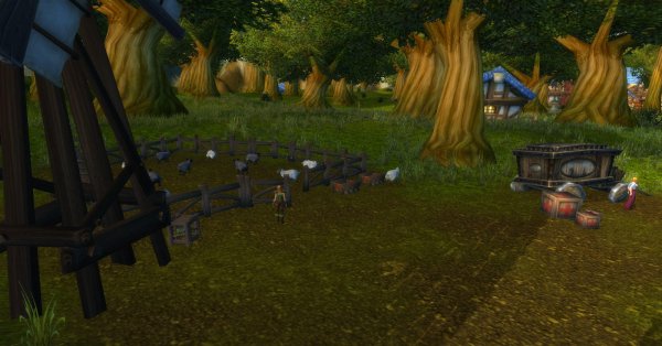 Mini ferme de mouton
