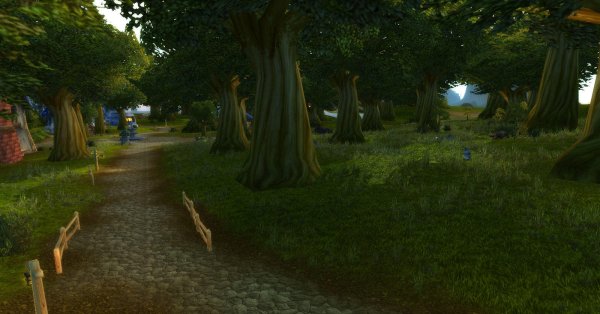 Forêt environnement 4