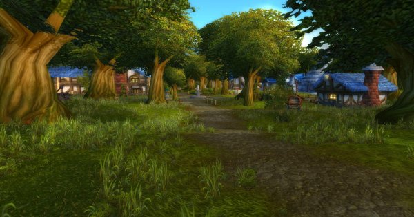 Forêt environnement 3
