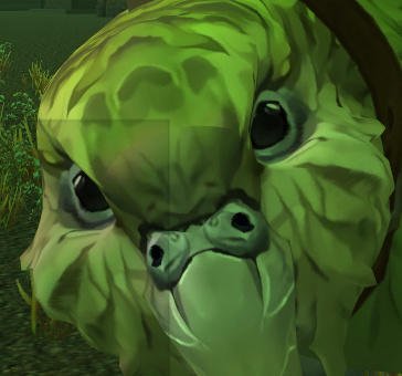 More information about "Kakapo Mount 335"