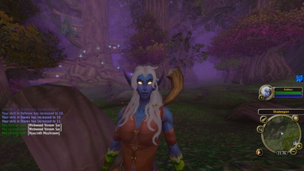 WoWScrnShot_111820_163726