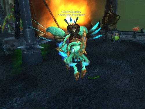 More information about "Beetle Mount"