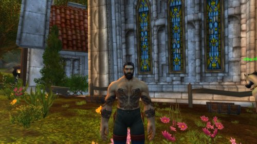 [Image: WoWScrnShot_052123_133610.thumb.jpg.62ed...3ba0bf.jpg]