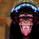 Rebornwow