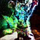 Ayahuasca