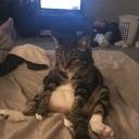 itswicky
