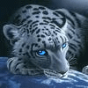 SilverKat