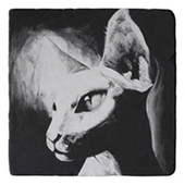 phynx